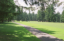 Runner's View of Start.