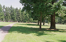 Runner's View Towards Finish Line.