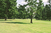 Runner's View Towards Finish Line.