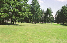 Runner's View of Finish (150 m out).