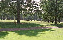 Runner's View Back Towards Start.