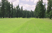 Runner's View of Start.