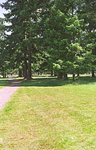 Runner's View Towards Finish Line.